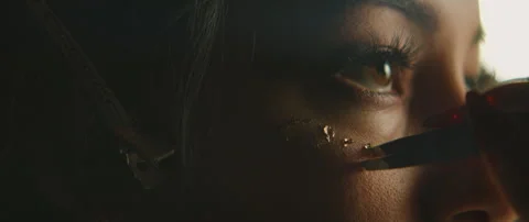 Make Up Artist With Model Stock Footage 319711227