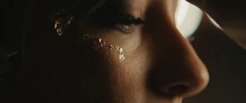 Make Up Artist With Model Stock Footage 319711303