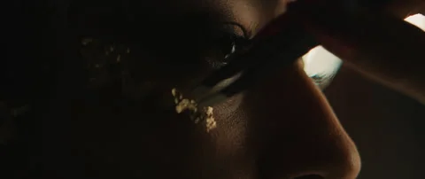 Make Up Artist With Model Stock Footage 319711320