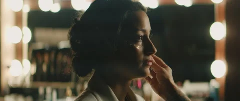 Make Up Artist With Model Stock Footage 319711394