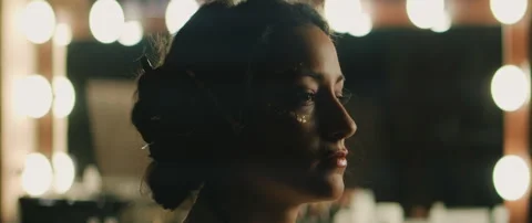 Make Up Artist With Model Stock Footage 319711569