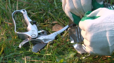 Make a brazier from a can, break the can body into strips Stock Footage 62765464