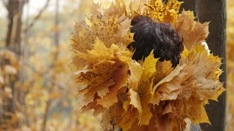 Make up a bunch of leaves Vídeo Stock 58679454