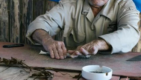 Make a cigar Stock Photos