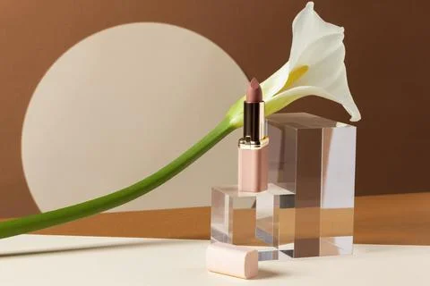 Make up concept with golden plant Stock Illustration