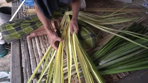 Make crafts from palm leaves Stock Footage 164551338