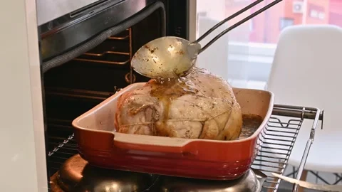 Make a delicious roast chicken in the oven. Spraying it with its own broth Stock Footage 217973001