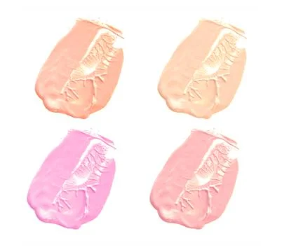 Make-up foundation isolate on white. Stock Photos