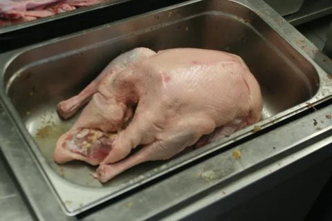 Make goose ready for roasting Stockfoto's