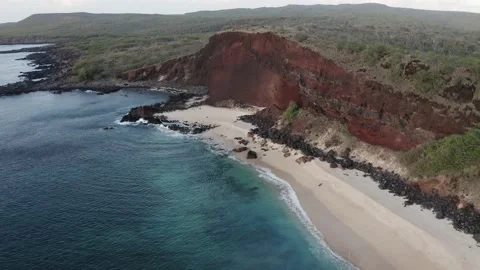 Make Horse Beach 1 動画素材 231351265