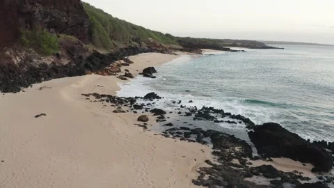 Make Horse Beach 2 動画素材 231350830