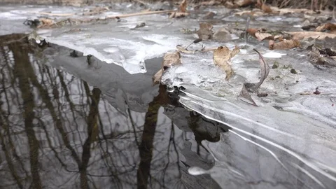 MAKE THIS ITEM AVAILABLE FOR FREE CLIP PROMOTIONS Stock Footage 87646378