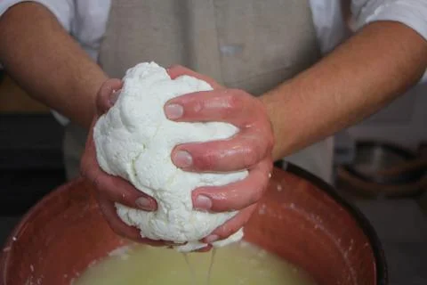 Make mozzarella chesse, handmade Fotos de archivo