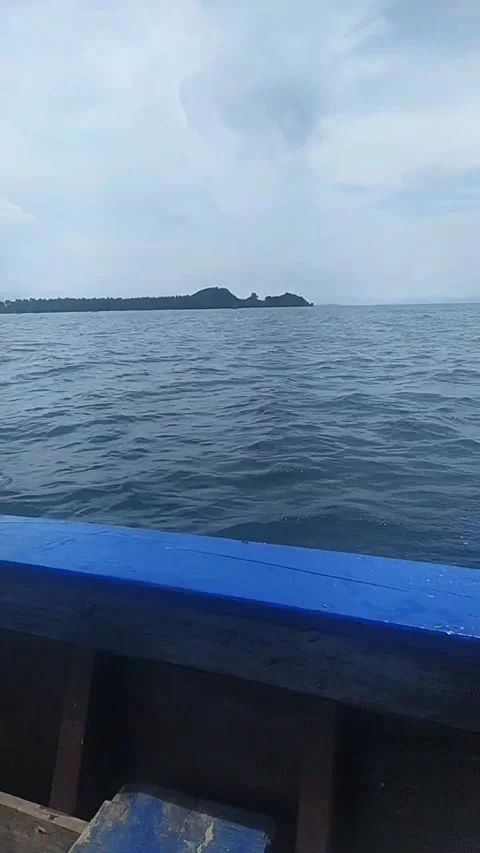 Make peace with the sea Video stock 233391801