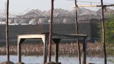 Make shift shelter made for flood victims in Balochistan with water in Stock Footage 238072405