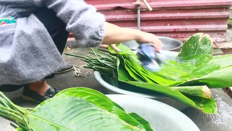 Make sticky rice cake Stock Footage 303218572