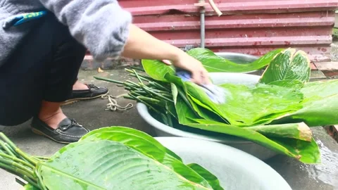 Make sticky rice cake Stock Footage 303218577