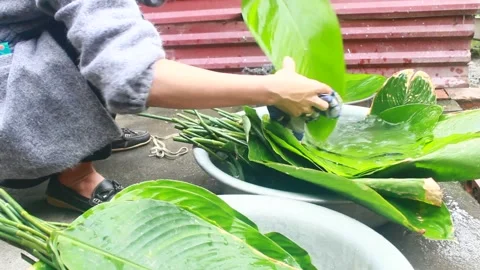 Make sticky rice cake Stock Footage 303218594