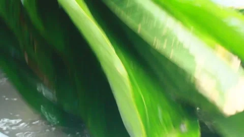 Make sticky rice cake Stock Footage 303218635