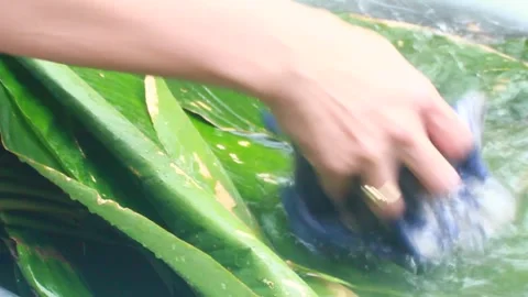 Make sticky rice cake Stock Footage 303218657