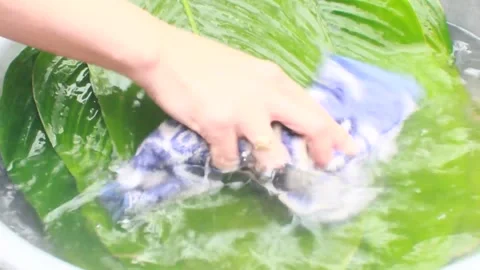 Make sticky rice cake Stock Footage 303218754