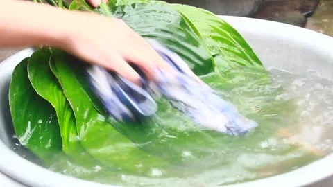 Make sticky rice cake Stock Footage 303218773