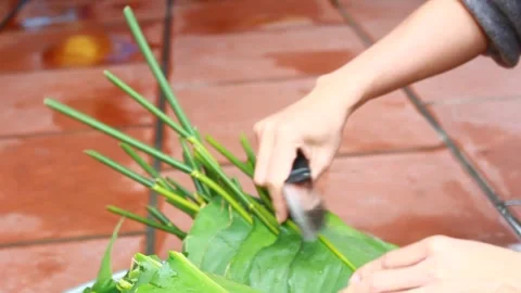 Make sticky rice cake Stock Footage 303218892