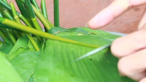 Make sticky rice cake Stock Footage 303218904