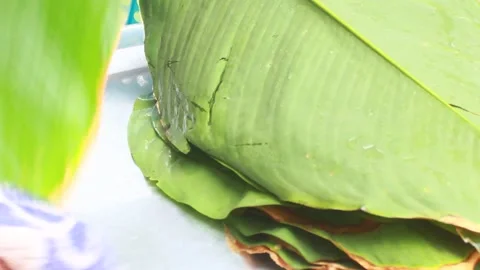 Make sticky rice cake Stock Footage 303219035