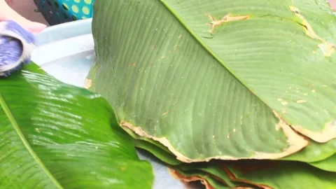 Make sticky rice cake Stock Footage 303219038