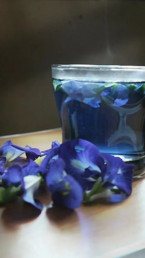 Make tea from butterfly pea flower Stock Footage 281608853