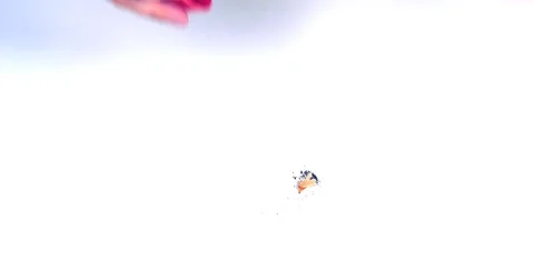 Make the tip to the pencil Stock Footage 79895999