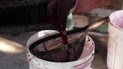 Make vine Stock Footage 256242709