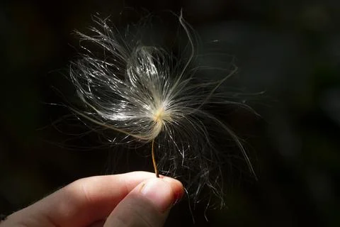 Make A Wish 스톡 사진