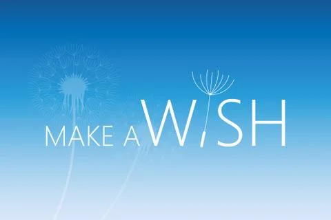 Make a wish typography with dandelion on blue background Stock-Illustration