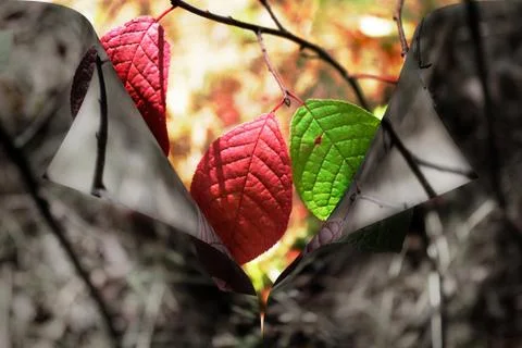 Make the world brighter! Stock Photos