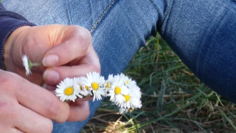 Make a wreath of chamomile. Stock Footage 105423371