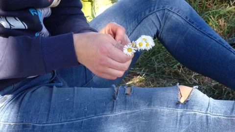 Make a wreath of chamomile Stock Footage 105423414
