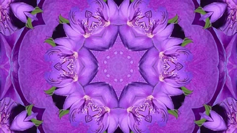 Make It Full Stock Videos RoyaltyFree