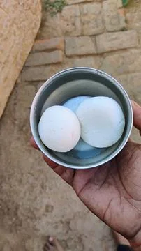 This makes the chenna very soft and spongy rasgullas Stock Photos