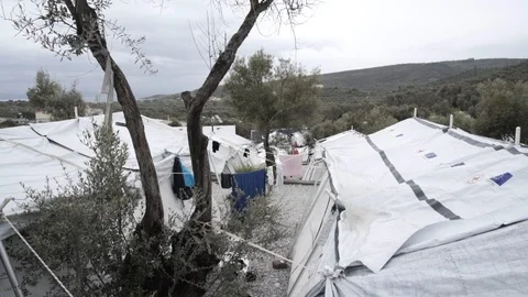 Makeshift camp inside an olive grove outside Moria refugee camp  Stock Footage 116393519