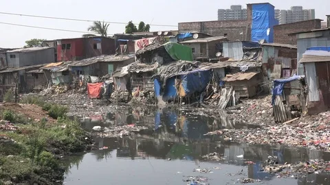 Makeshift homes and polluted ponds in a slum area in Mumbai, poverty in India Stock Footage 71505326