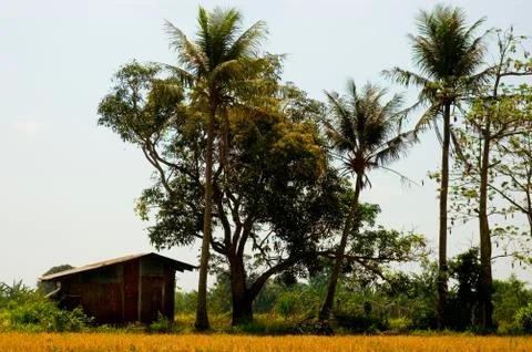 Makeshift house Foto stock