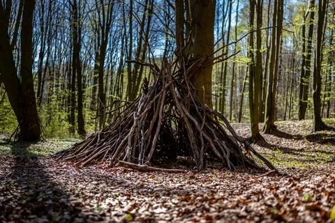 Makeshift hut made of dry branches leaning against a tree trunk Foto stock