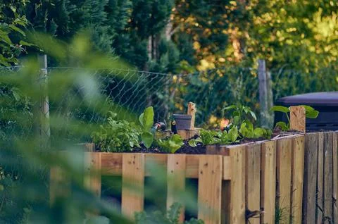 Makeshift raised Bed in garden Stock Photos