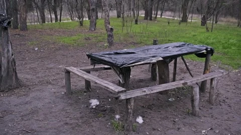 Makeshift Wooden Bench and Table in Damp Spring Forest Setting Stock Footage 323259708