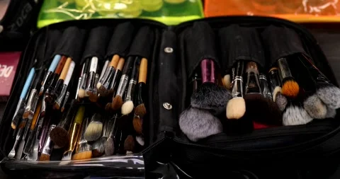 Makeup bag with many different brushes inside. Stock Footage 304627935