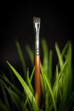Makeup brush with grass Stock Photos