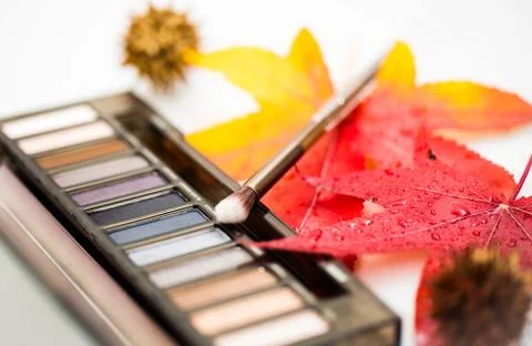 Makeup brush Stock Photos