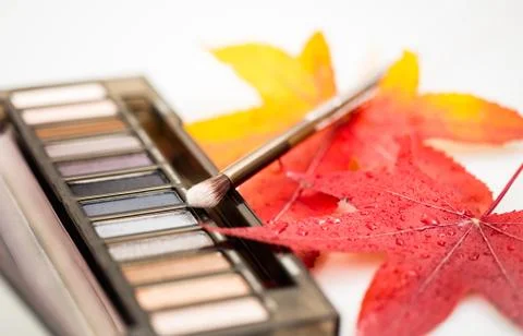Makeup brush Stock Photos